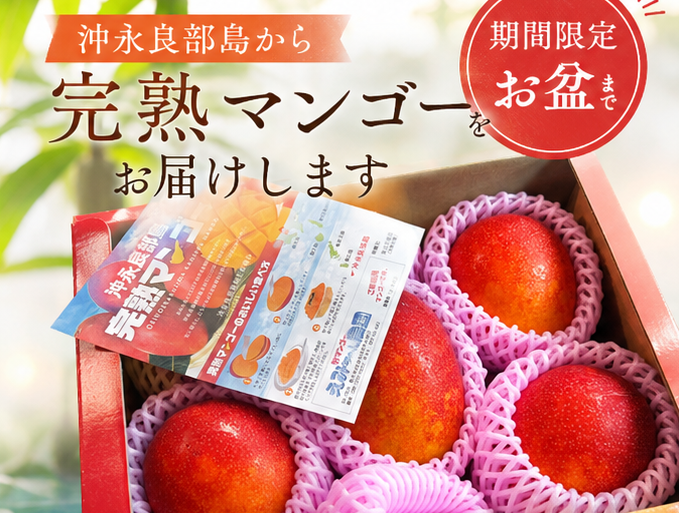 沖永良部の完熟マンゴー期間限定販売！受付開始
